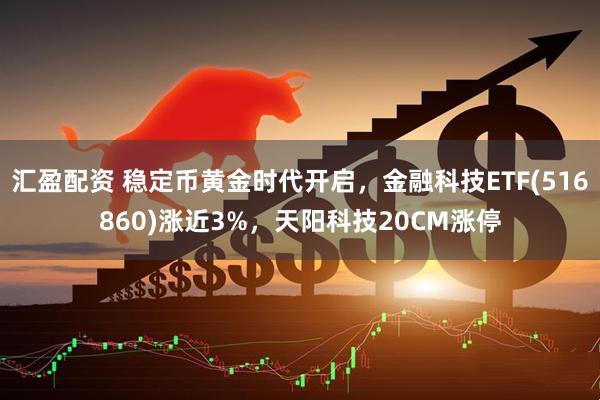 汇盈配资 稳定币黄金时代开启，金融科技ETF(516860)涨近3%，天阳科技20CM涨停