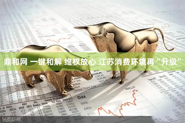 鼎和网 一键和解 维权放心 江苏消费环境再“升级”
