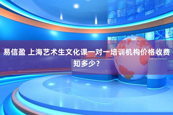 易信盈 上海艺术生文化课一对一培训机构价格收费知多少？