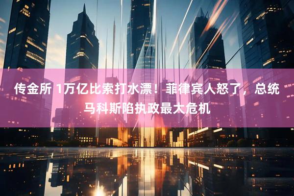 传金所 1万亿比索打水漂！菲律宾人怒了，总统马科斯陷执政最大危机